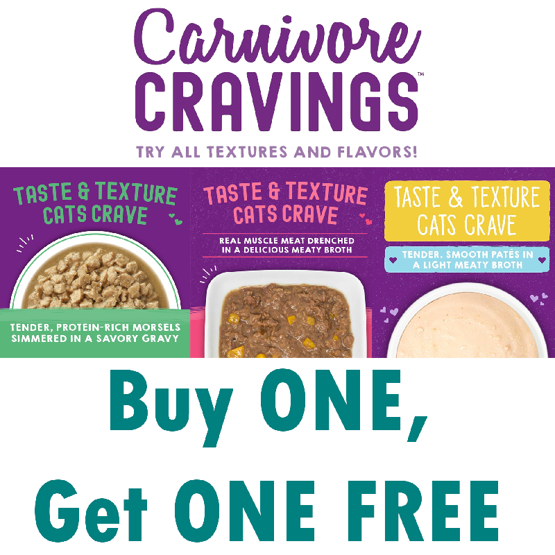Promotion Image