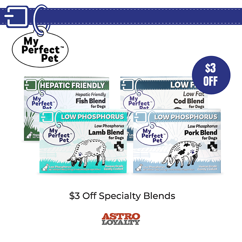 Promotion Image