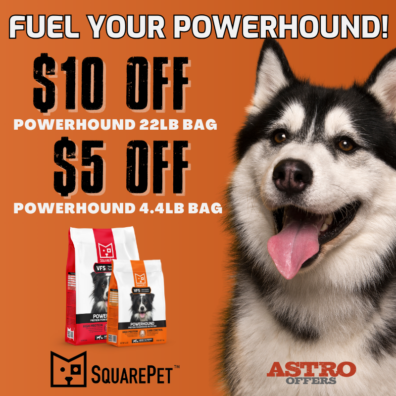 Promotion Image