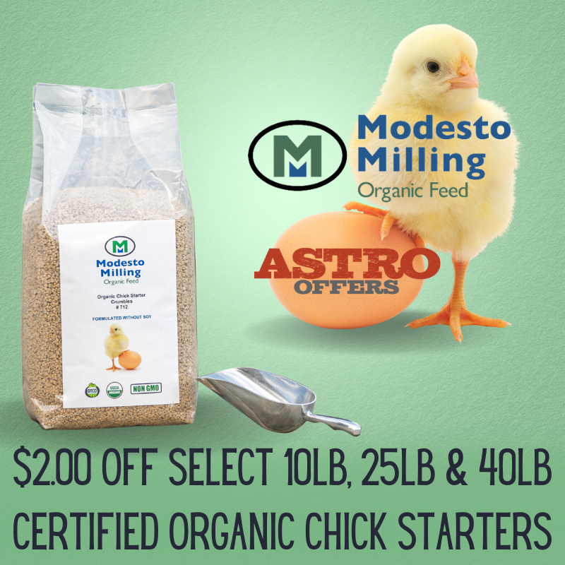 Promotion Image