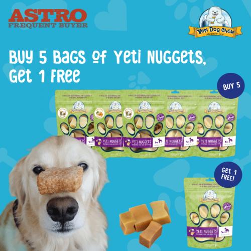 Promotion Image