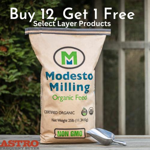 Promotion Image