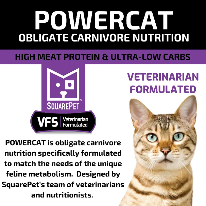 VFS Powercat