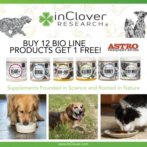 Promotion Image
