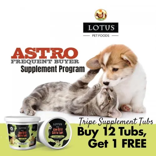 Promotion Image