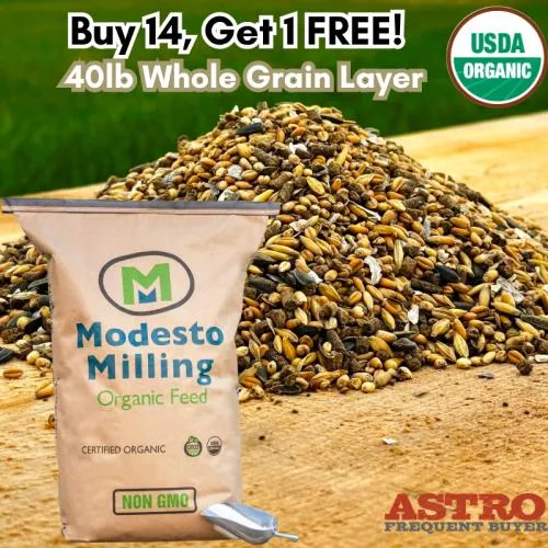 Promotion Image