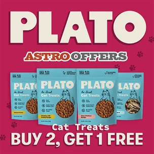 Plato | Buy 2, Get …
