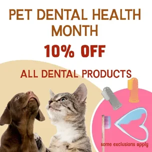Dental Health Month…