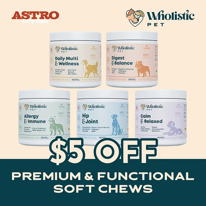 Promotion Image