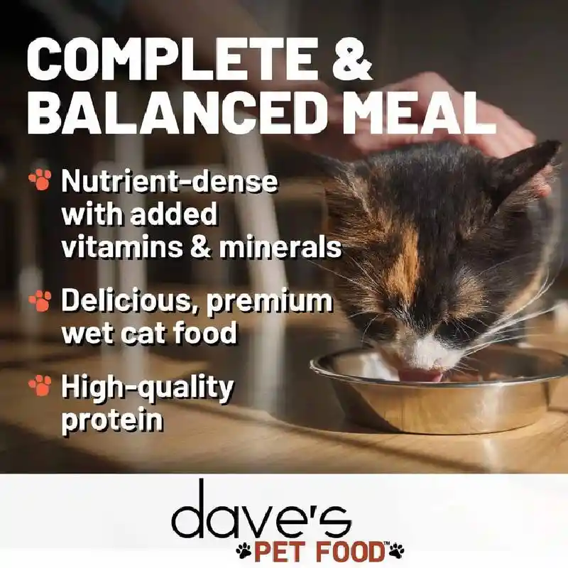 Dave's Cat Gf Nat Healthy 95% Chicken Liver 5.5oz