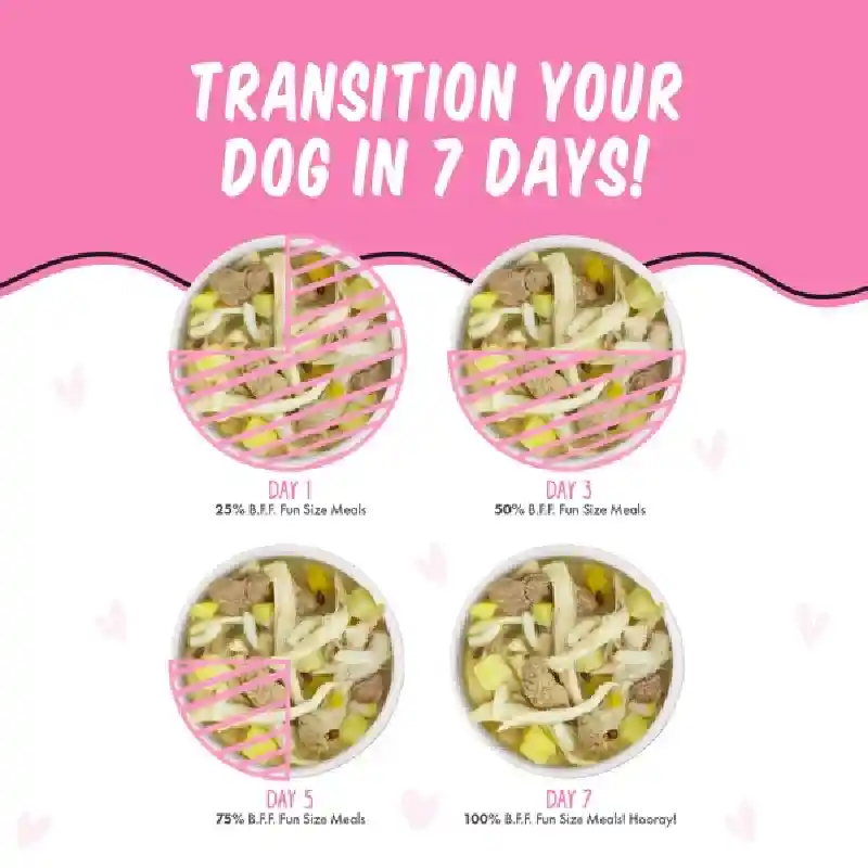 Bff Fun Cup Dog Wanna Be With Ya Chicken 2.7oz