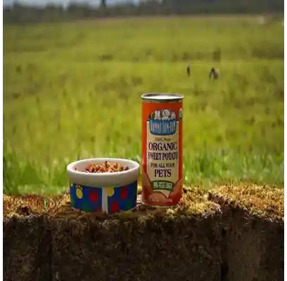 Organic Canned Sweet Potato Dog 15 Oz