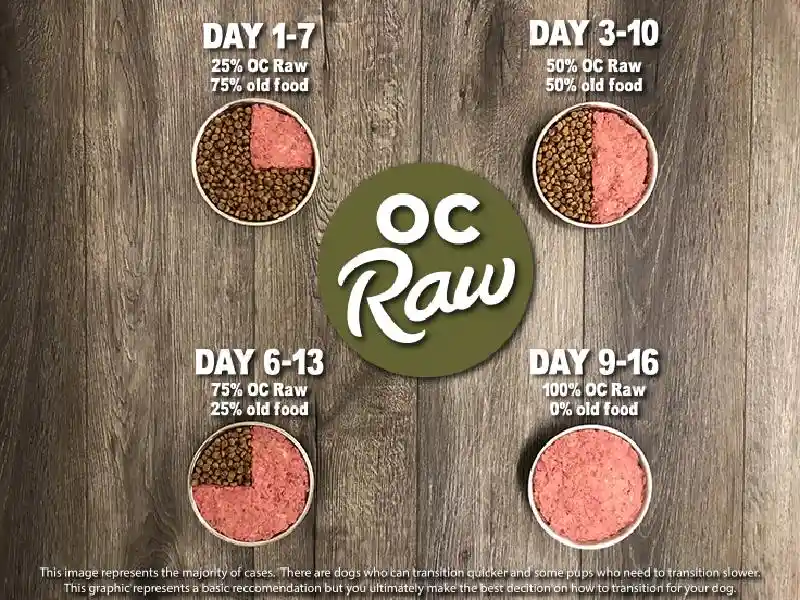 OC Raw Dog Food: Beef & Produce Patties 6lb