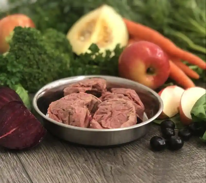 OC Raw Dog Food: Beef & Produce Sliders 4lb