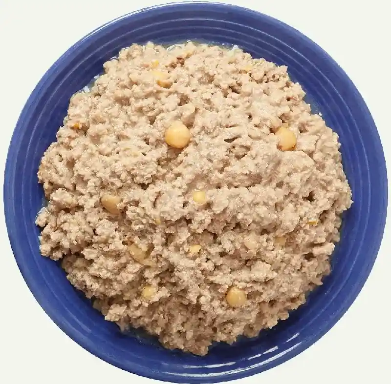 Earthborn Holistic Canned Dog Food Lamb 13oz