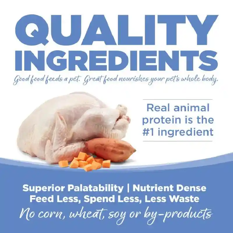 PureVita Dog: Grain Free Turkey & Sweet Potato 4lb