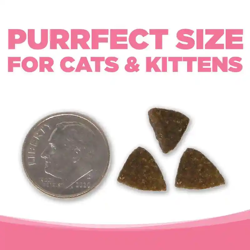 Purevita Cat: Grain Free Salmon & Peas 4lb