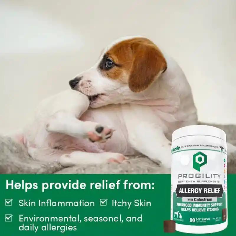NOOTIE ALLERGY & IMMUNE CHEW 90CT