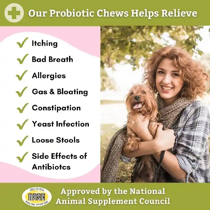 WHOLISTIC DAILY DIGESTIVE SOFT CHEW 60CT