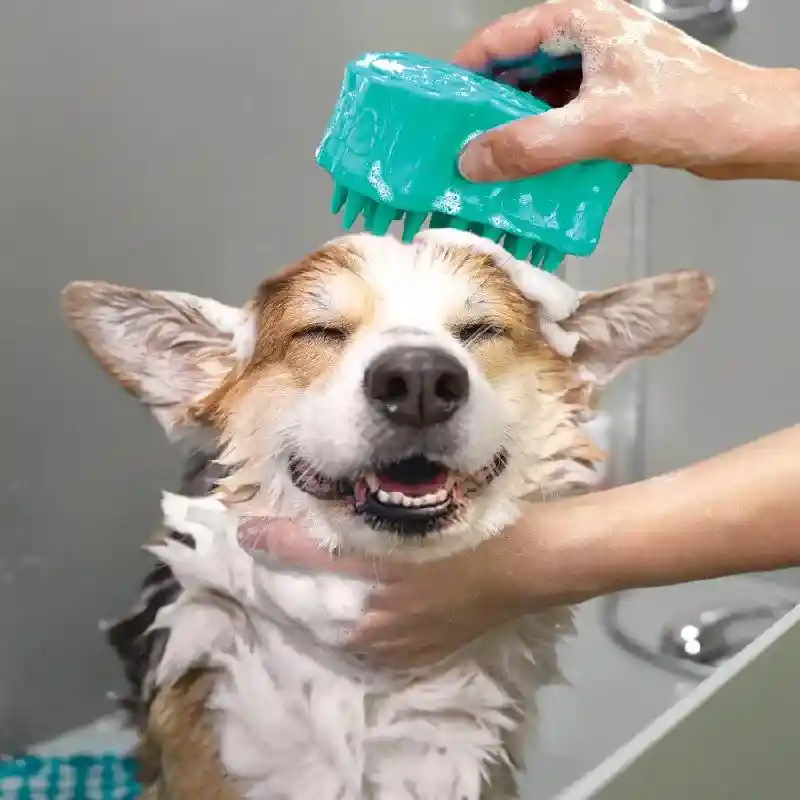 KONG ZOOMGROOM BUBBLES LG