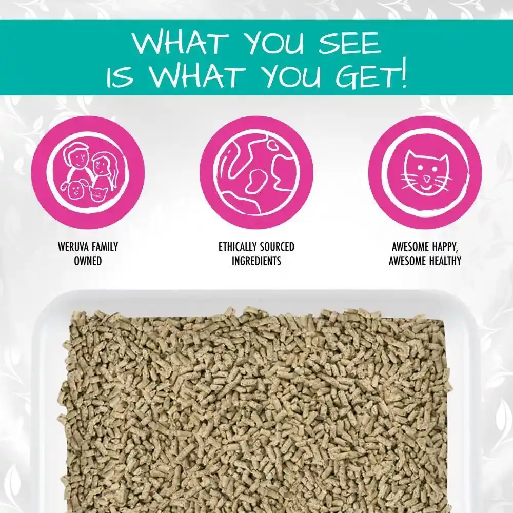 "it's A Tea Potty!" Hinoki Wood & Green Tea Cat Litter 6.7-lb