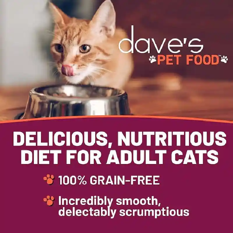 Dave's Cat Gf Nat Healthy 95% Chicken Liver 5.5oz