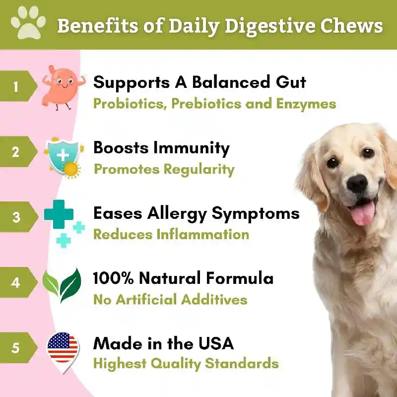 WHOLISTIC DAILY DIGESTIVE SOFT CHEW 60CT