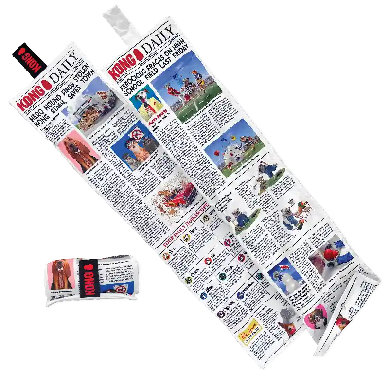 DAILY Newspaper XLG