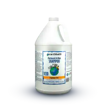 Oatmeal And Aloe Shampoo Fragrance Free - 128-oz J