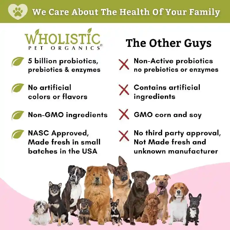 WHOLISTIC DAILY DIGESTIVE SOFT CHEW 60CT