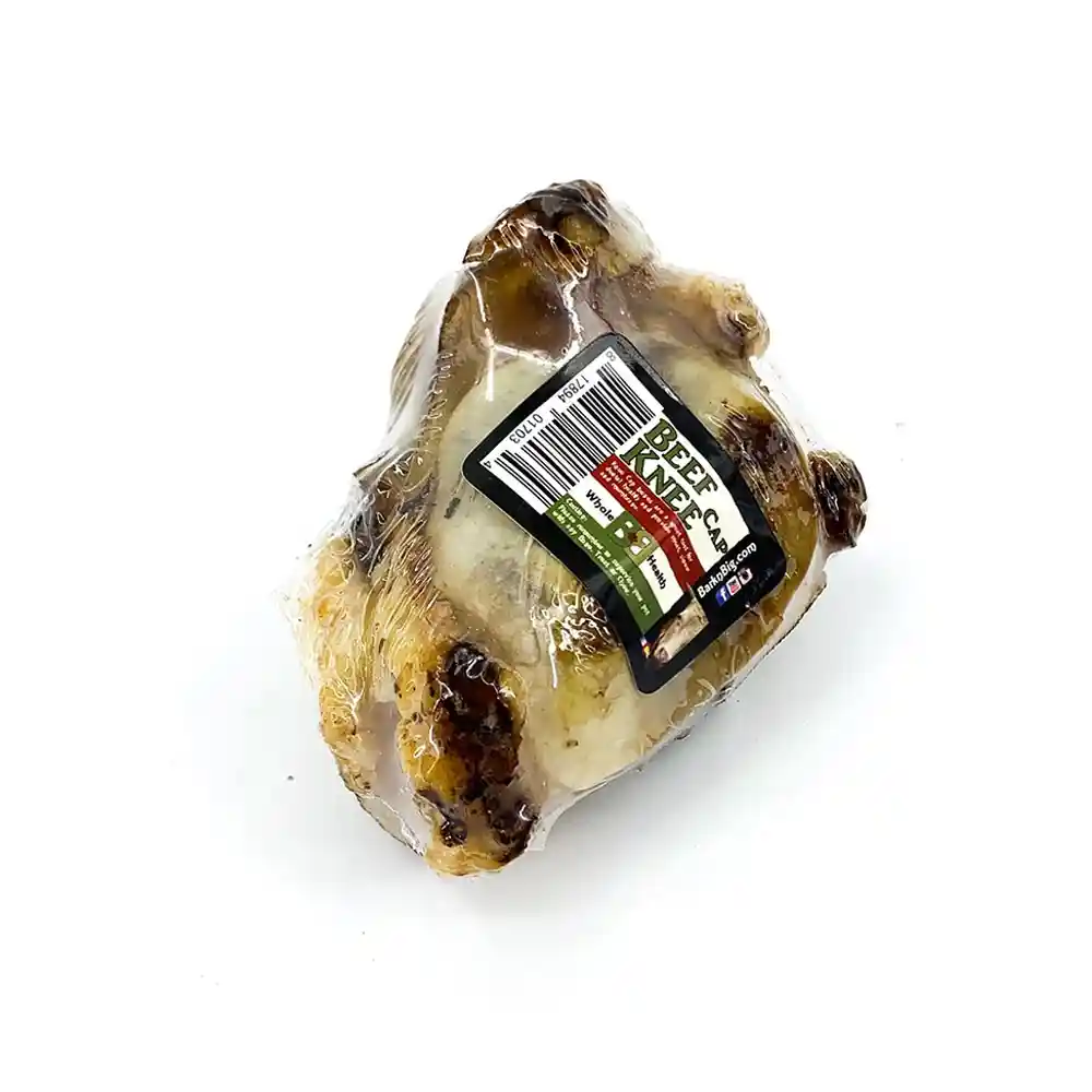 Bb Beef Knee Cap