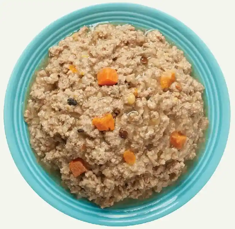 Earthborn Holistic Canned Dog Food Turkey 13oz