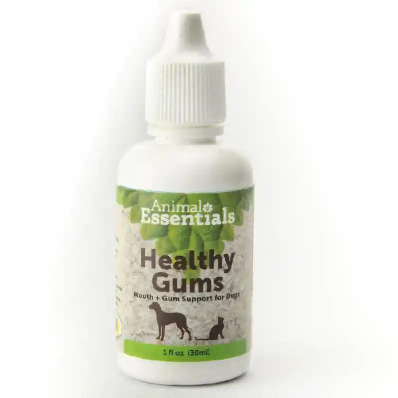 AE HEALTHY GUMS 1OZ