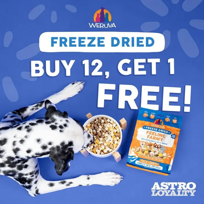 Promotion Image