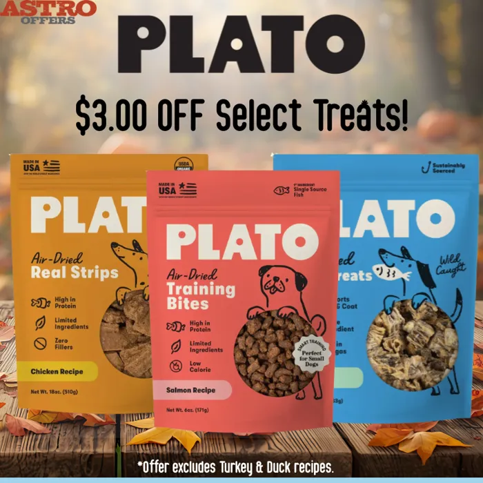 Promotion Image