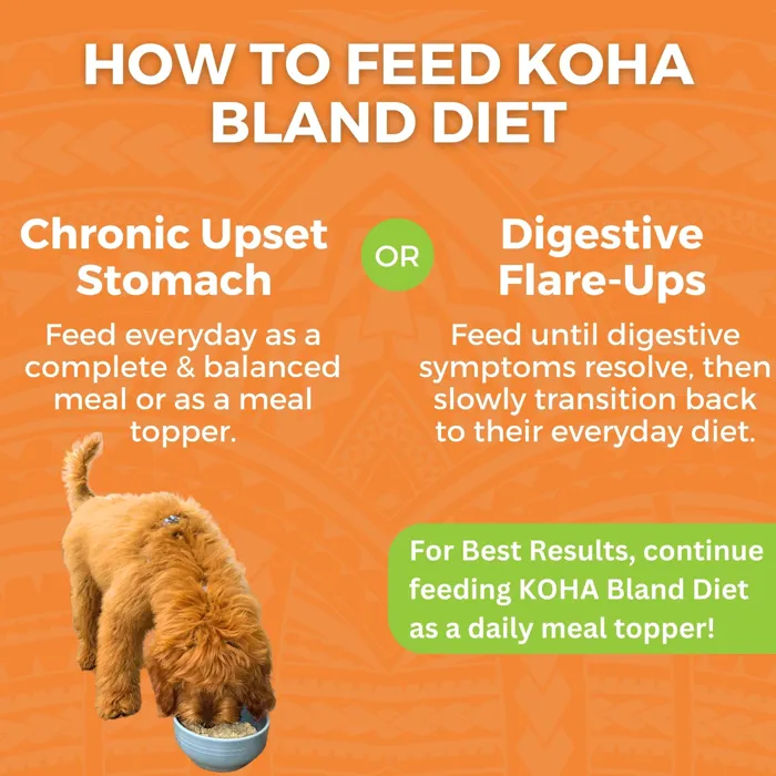 KOHA BLAND DPK CHICKEN RICE 12.5OZ
