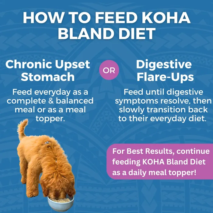 KOHA BLAND DPK LAMB RICE 12.5OZ