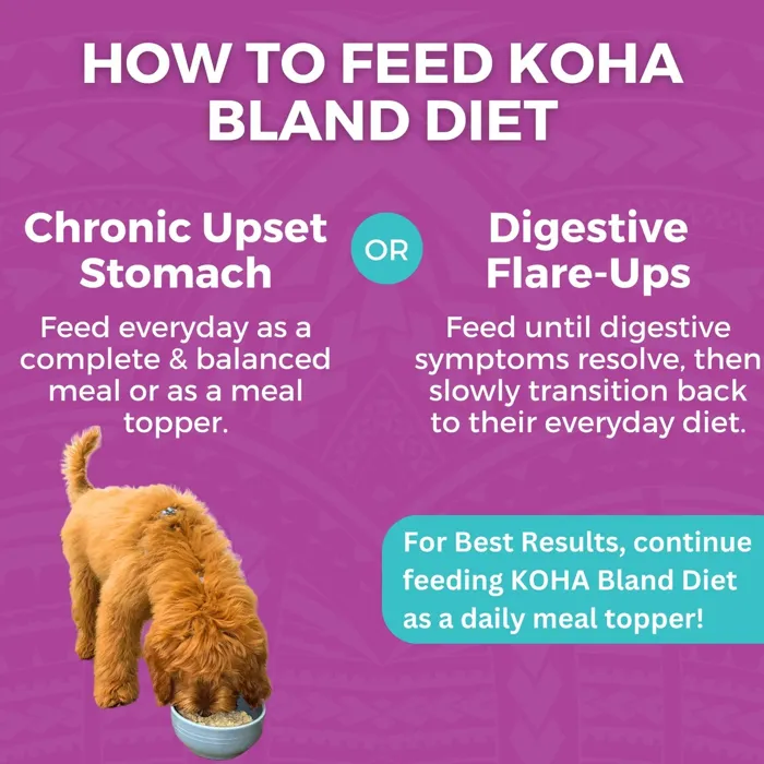 KOHA BLAND DPK BEEF RICE 12.5OZ