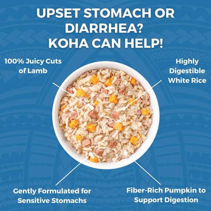 KOHA BLAND DPK LAMB RICE 12.5OZ