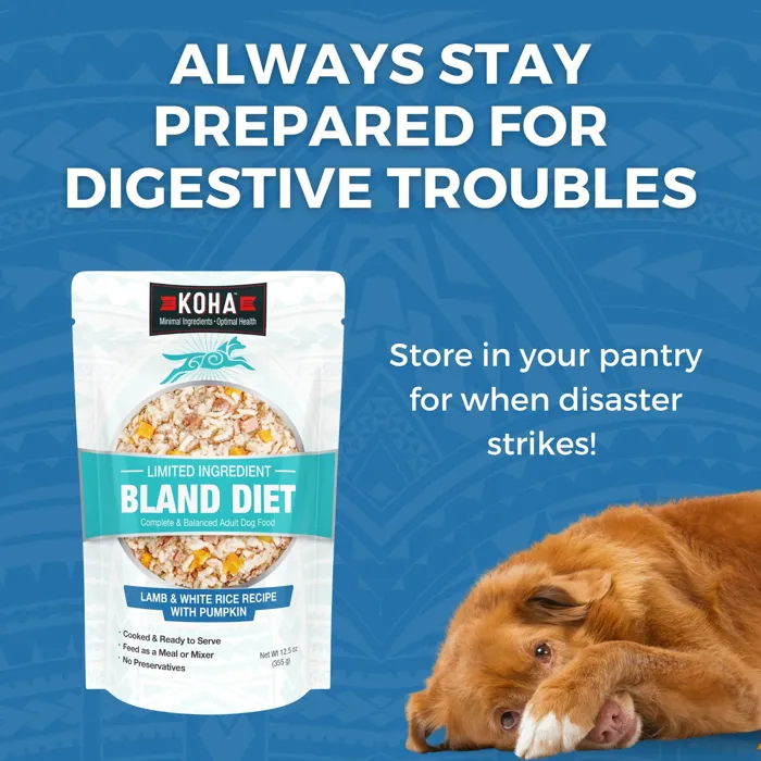 KOHA BLAND DPK LAMB RICE 12.5OZ