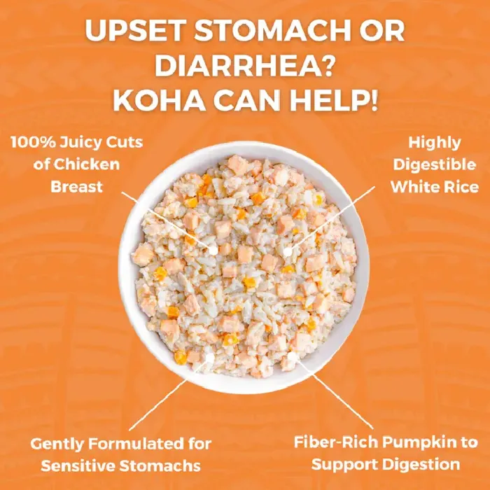 Bland Diet Chicken And Rice - 12.5oz