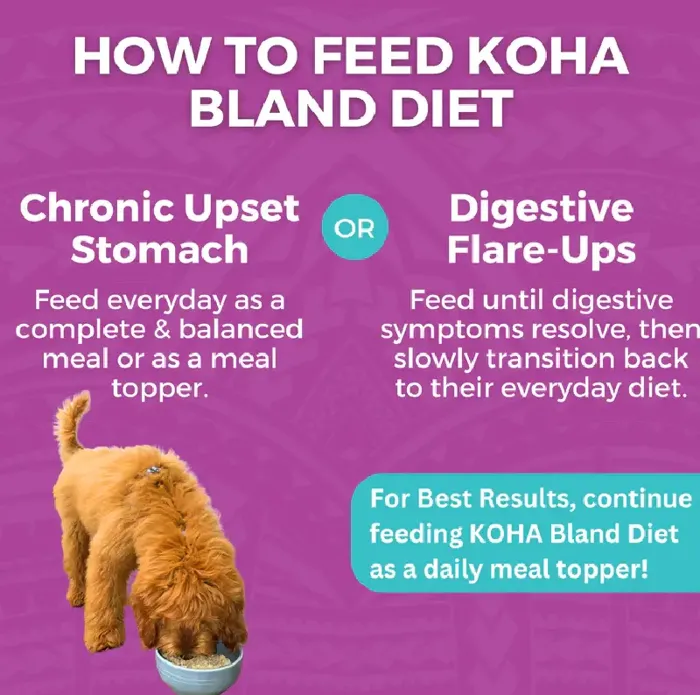 Bland Diet Beef And Rice - 12.5oz