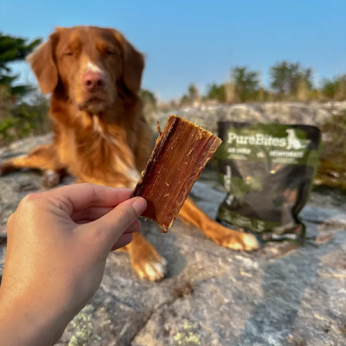 PUREBITE AIR DRIED JERKY BEEF 7.5OZ