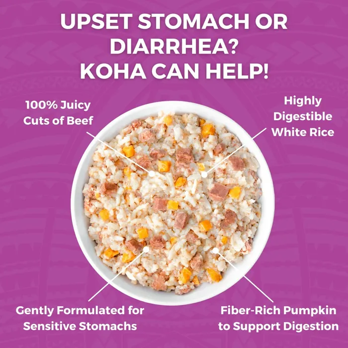 KOHA BLAND DPK BEEF RICE 12.5OZ