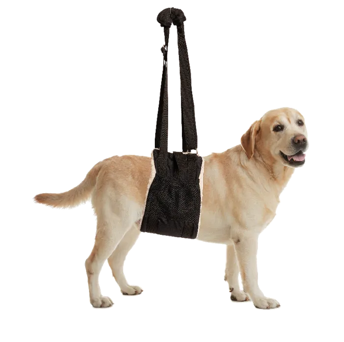 Zen Rem Buddy Lift Sling Lg/xl