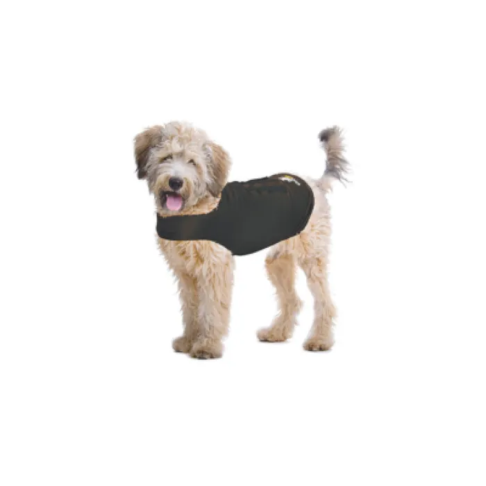 Zendog Xlarge