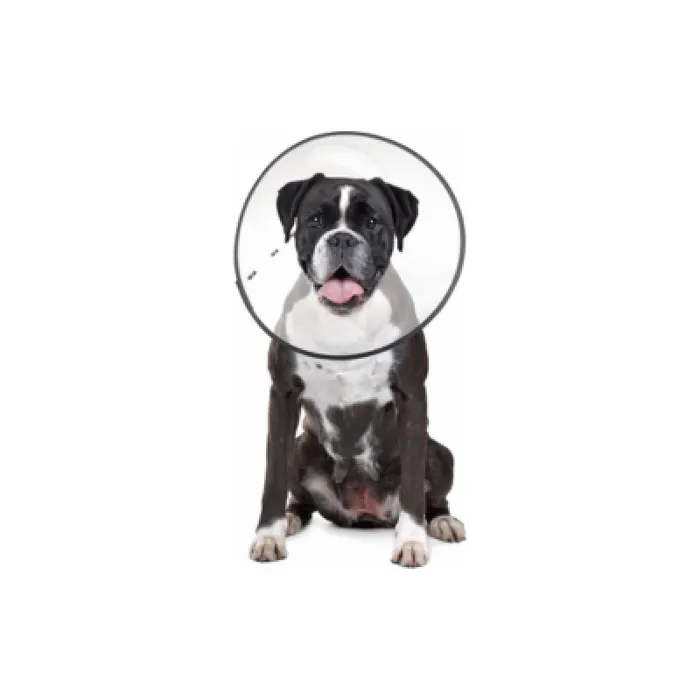 E-collar Clear Large 5961 Cs Tech 12/cs